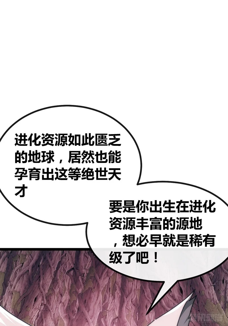 袁校败了 第12页