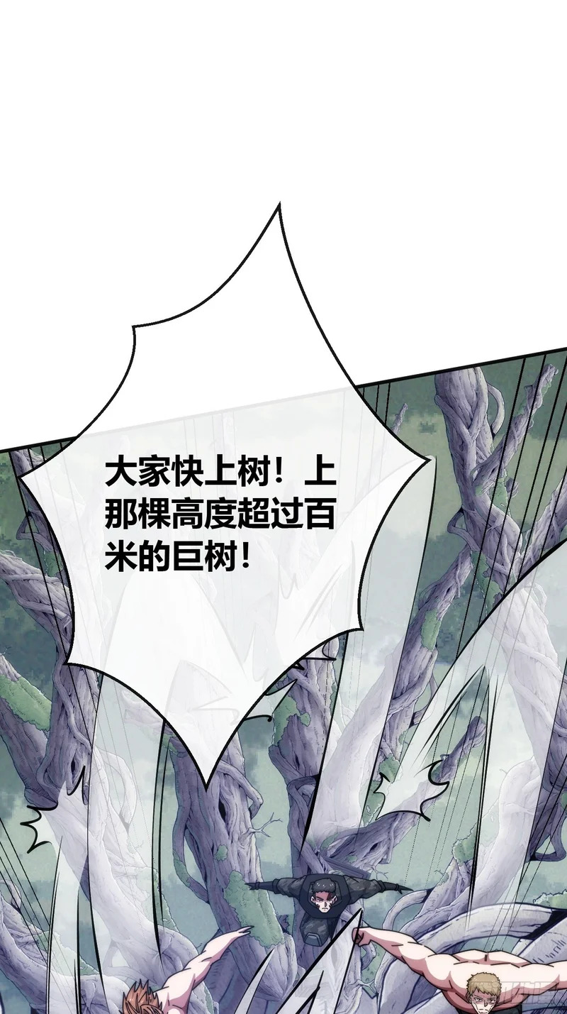 袁校败了 第66页