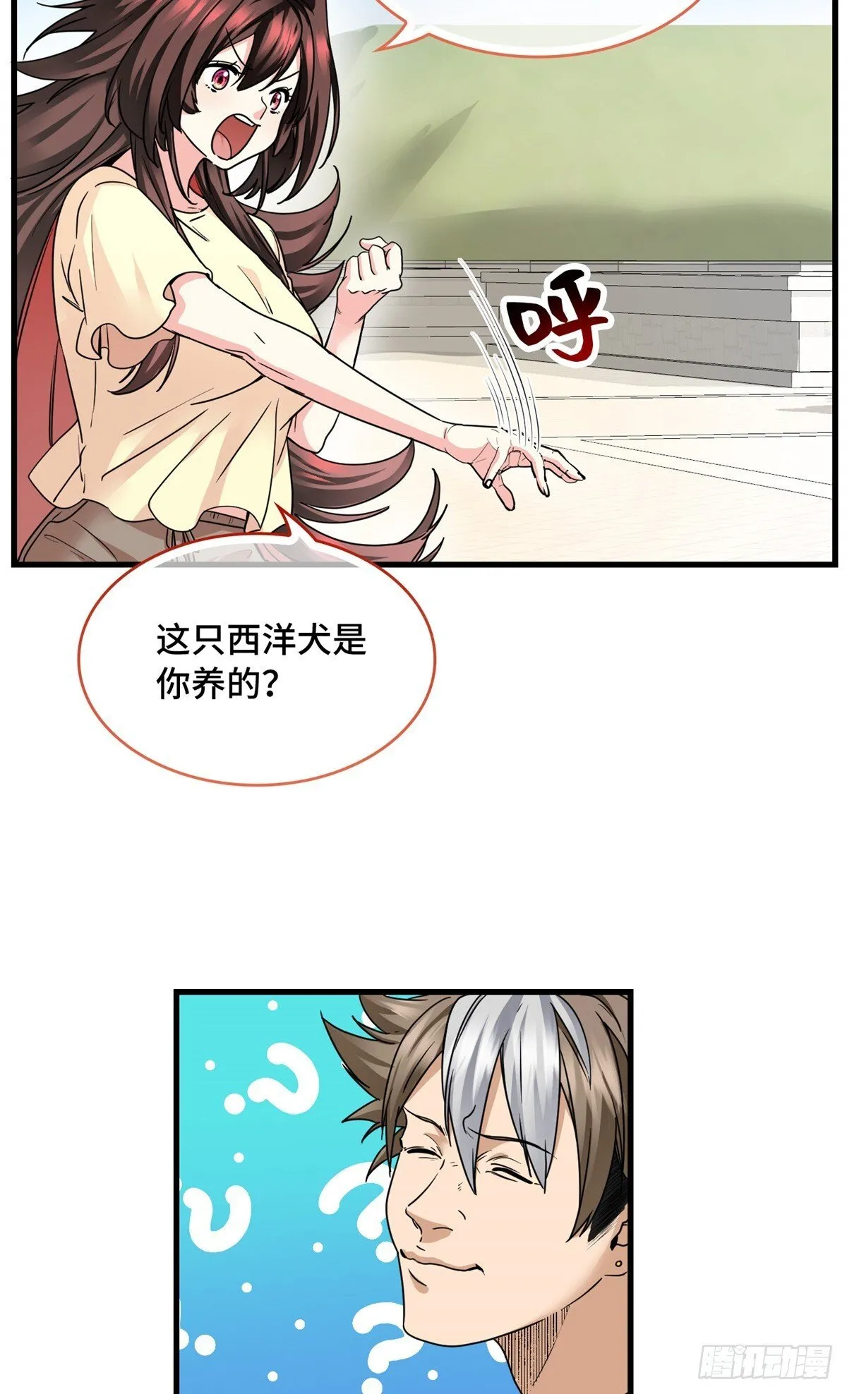 021 狗 第14页