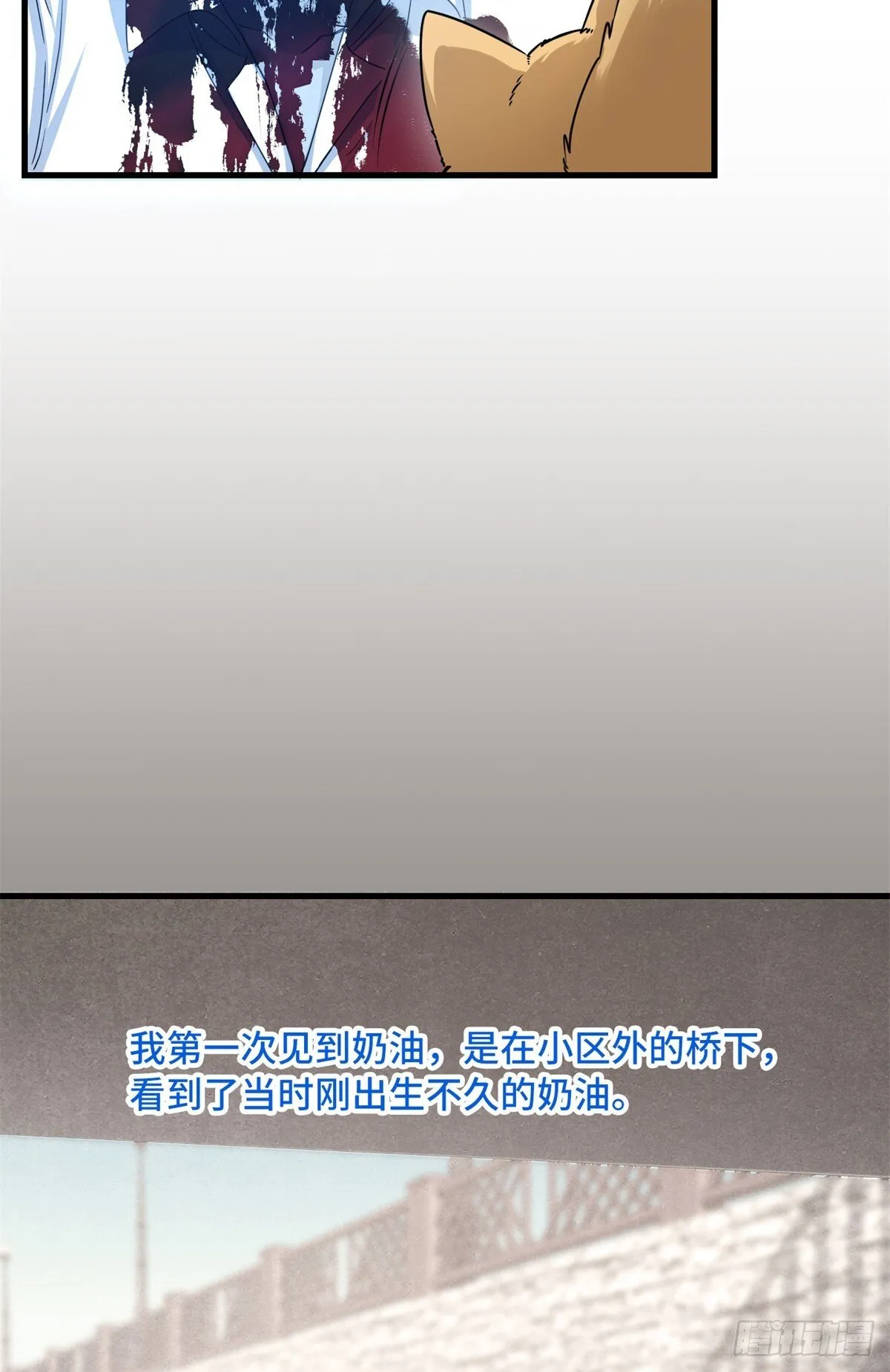 022 新人胜旧狗 第12页
