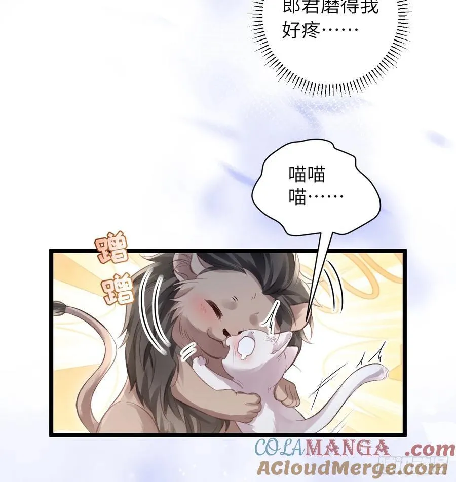 29 和郎君一起 第34页