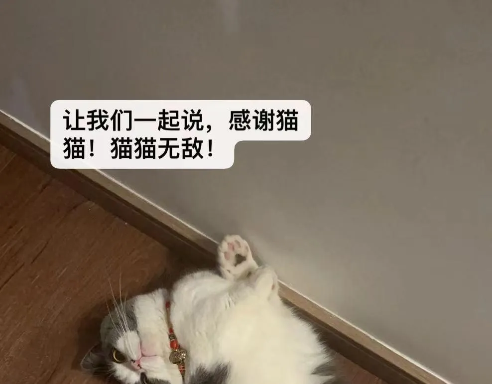 -03- 燕春楼中捉“神君” 第103页