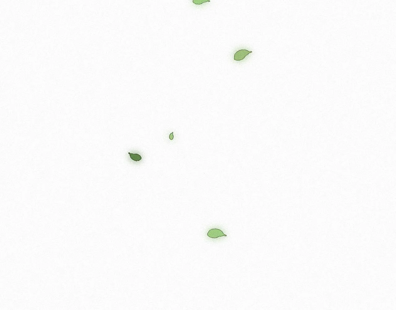 -16- 鸿爪留泥 第46页