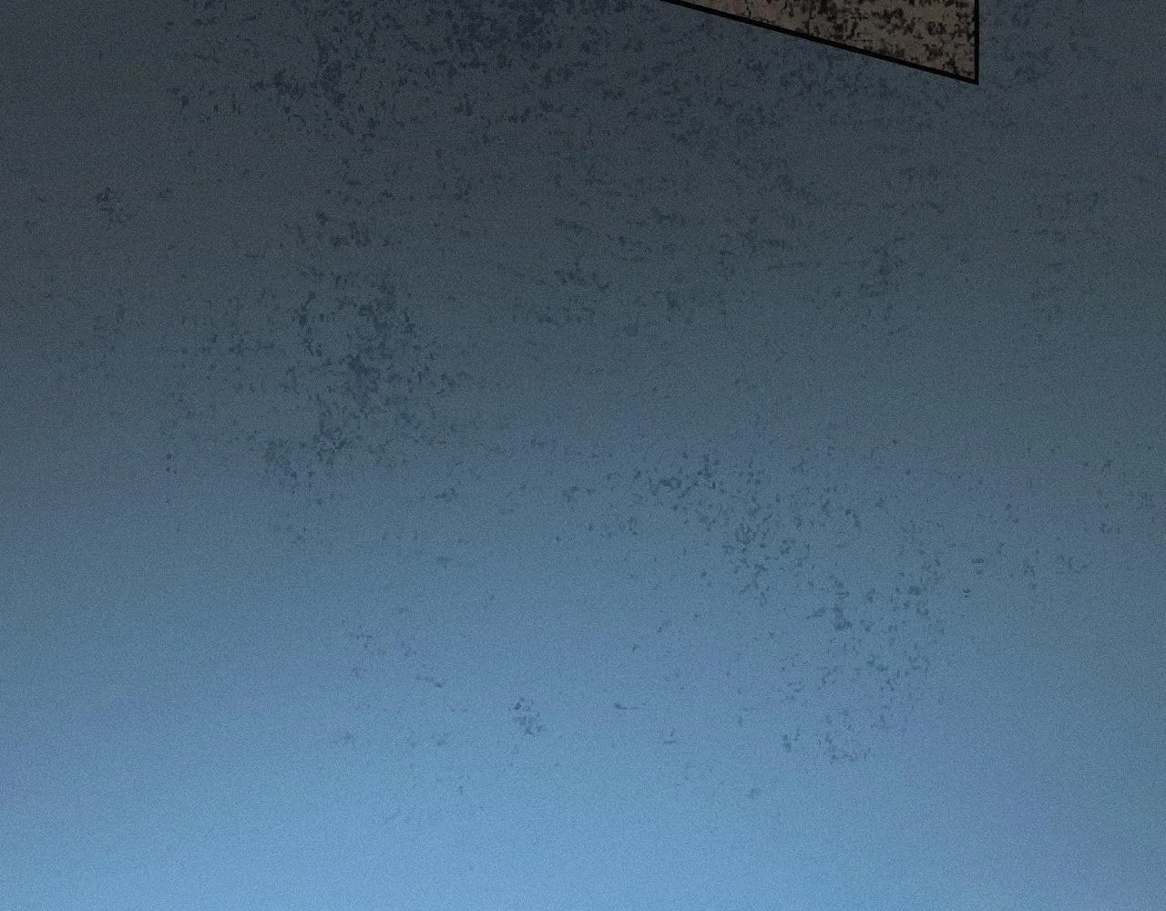 -17- 月红 第67页