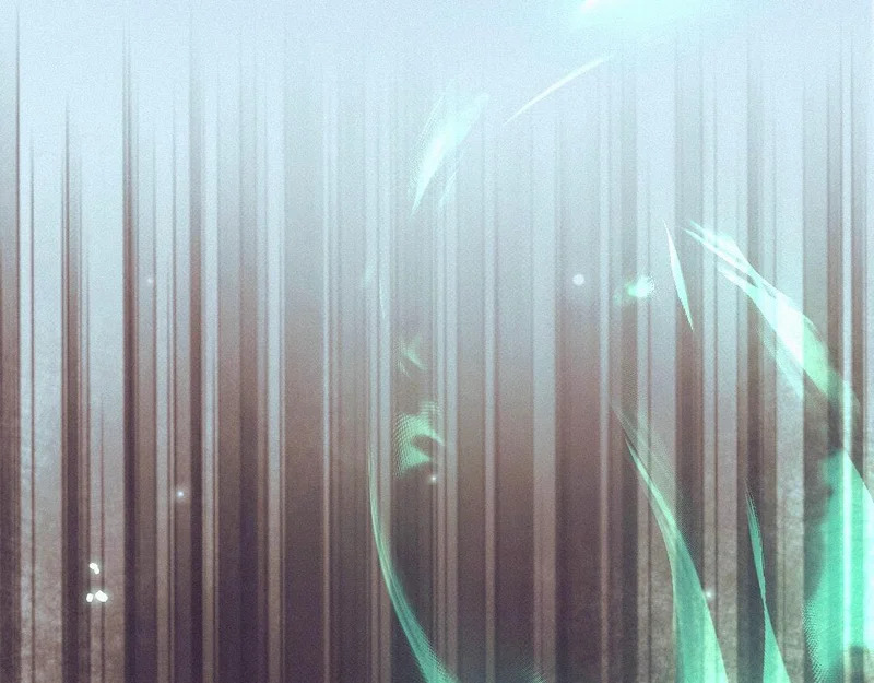 -51- 嗔 第19页