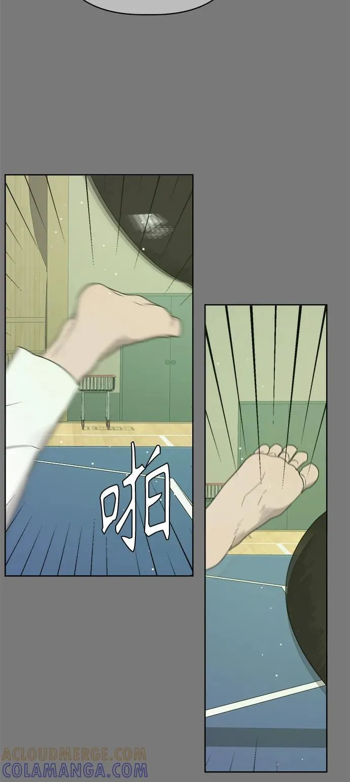 第54话 第43页