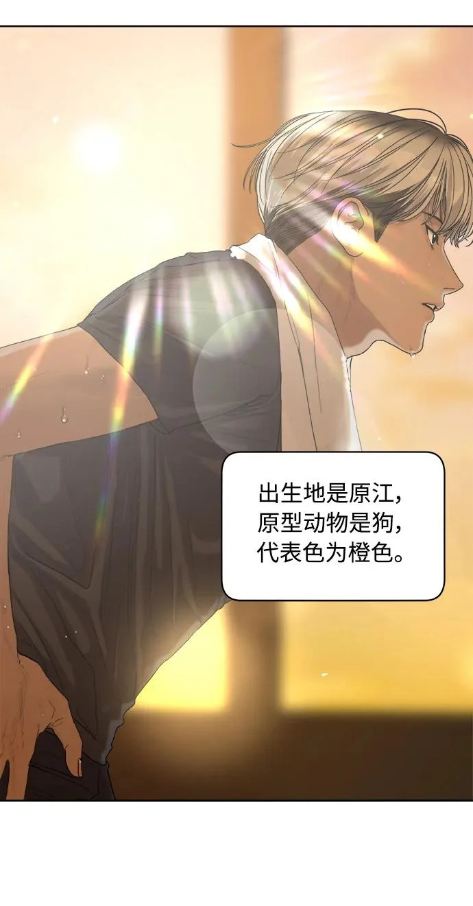 后记 第51页