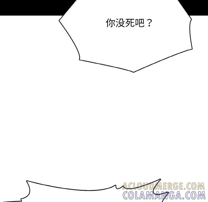 33 第113页