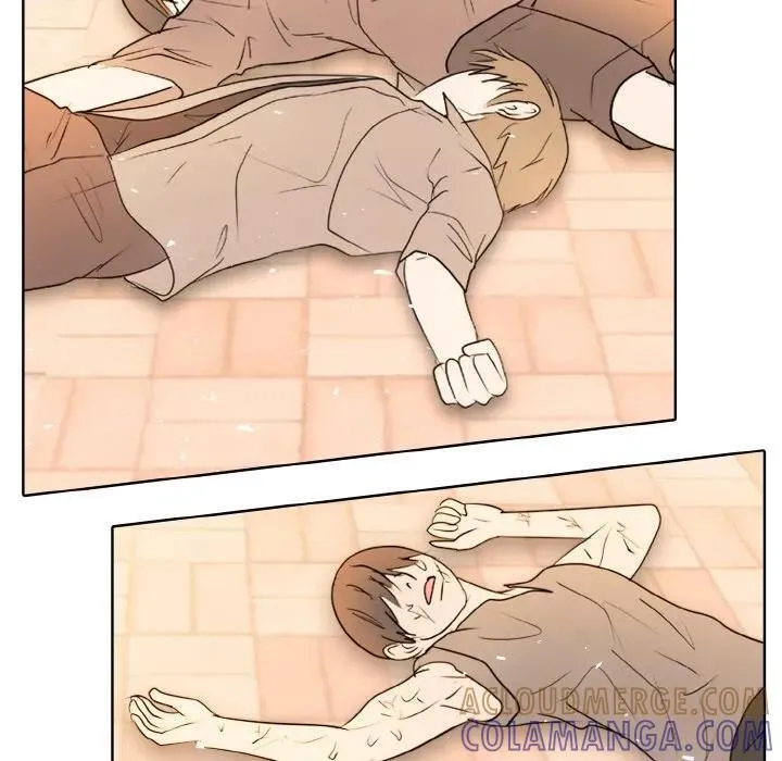 34 第113页