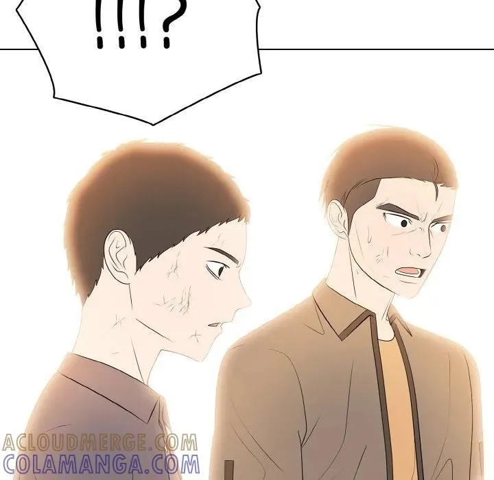 38 第45页
