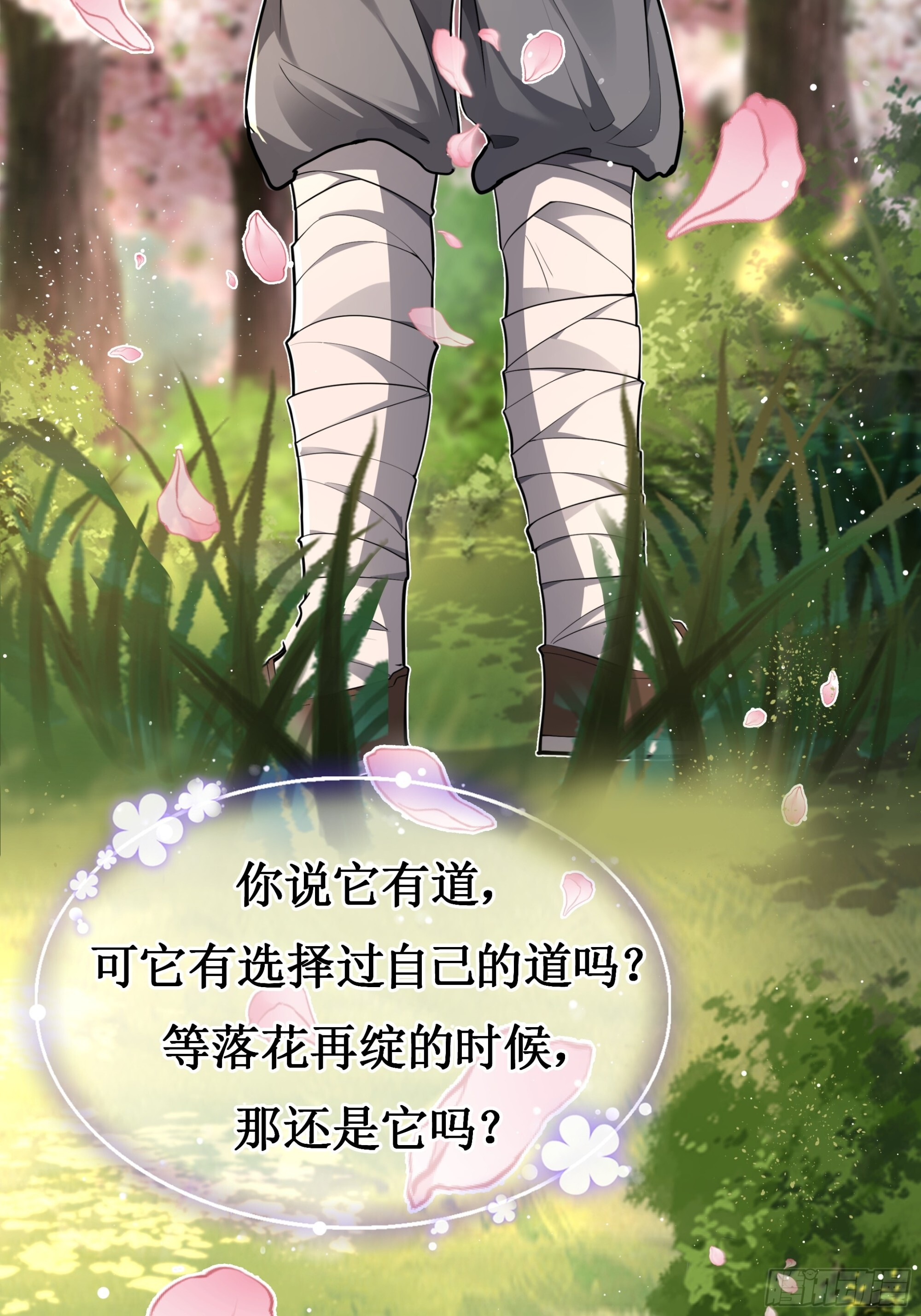 圣书作画，落花无情 第29页