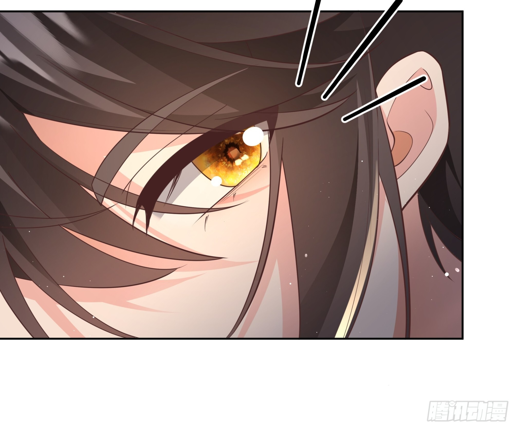 梨花糖 第5页