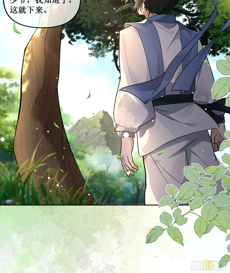 无故昏厥，跌落参天大树 第8页