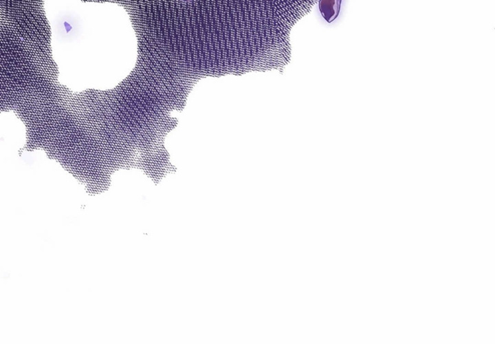 第18话 第224页