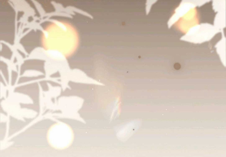 第19话 第244页