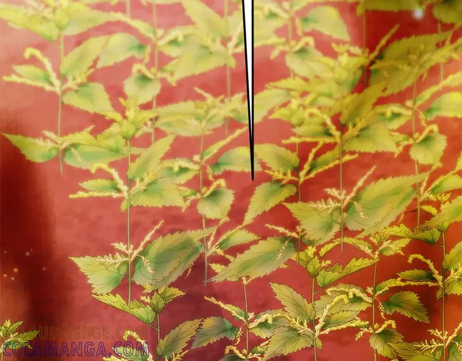 第十一话 第205页