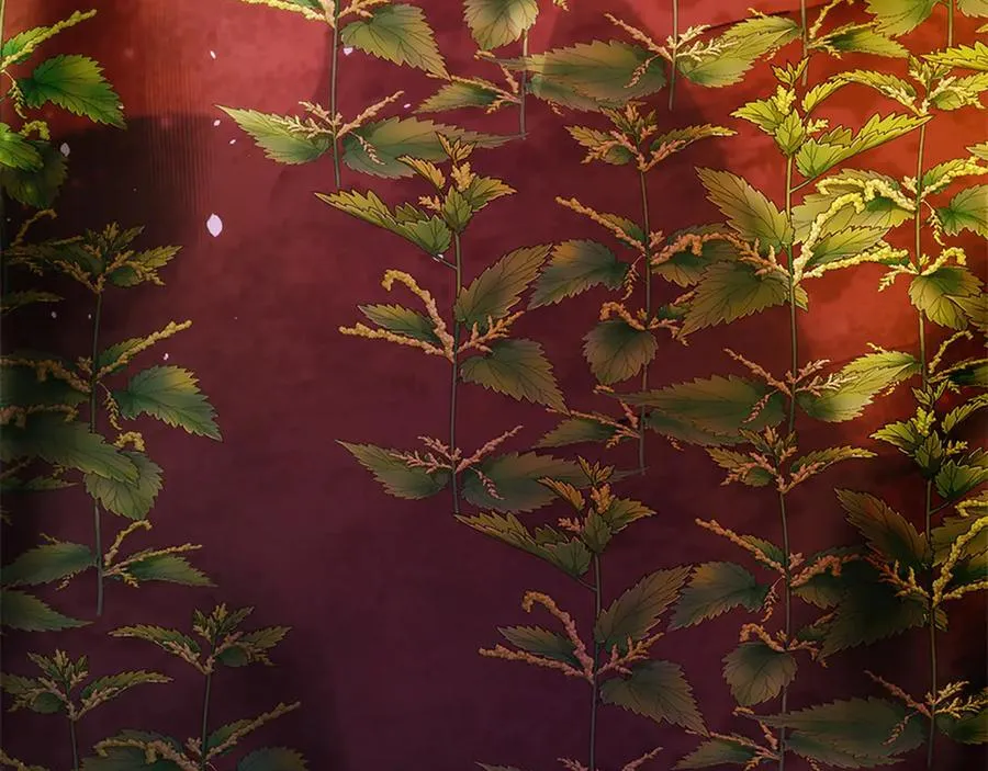 第十一话 第206页