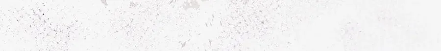 第十一话 第220页
