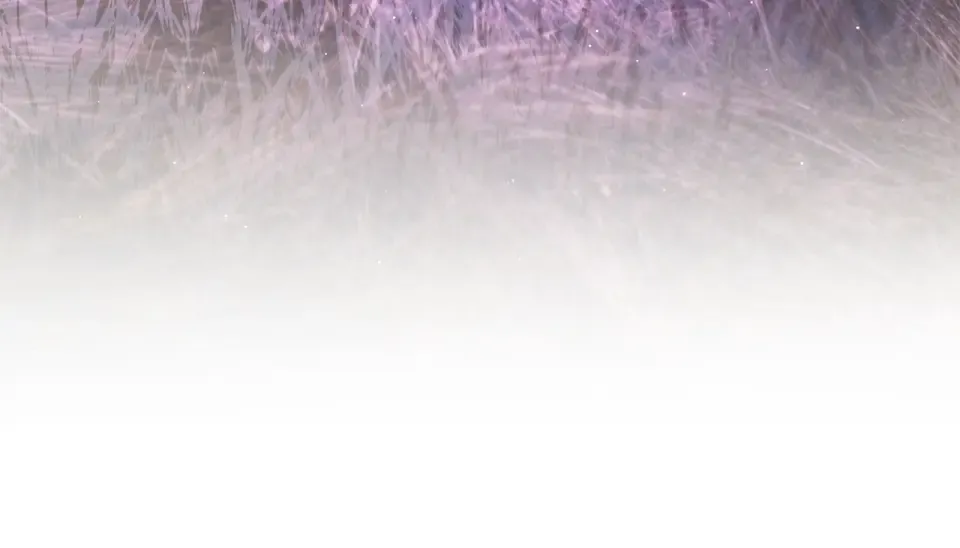 第44话 再次出现裂缝 第133页