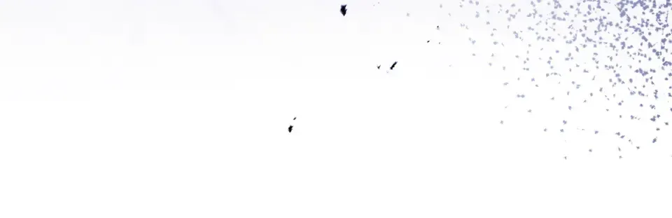 第一季完结话 第45话 治愈剑出现了 第15页