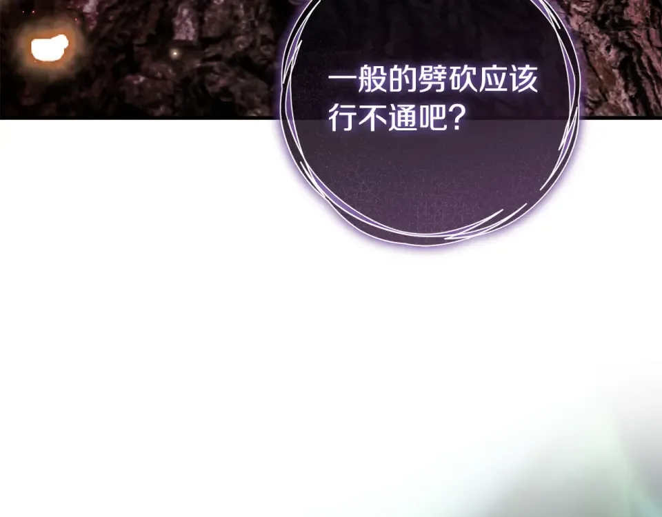 第一季完结话 第45话 治愈剑出现了 第174页