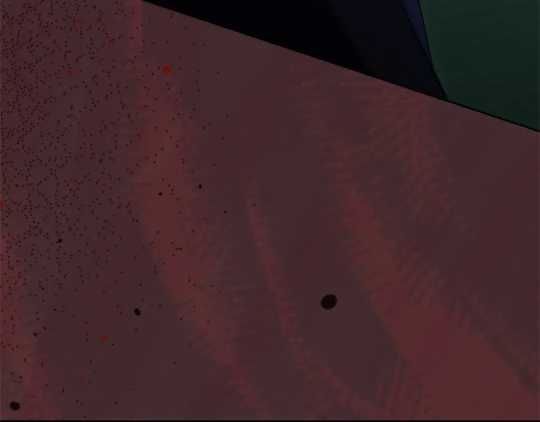 第31话 命运纠葛 第30页