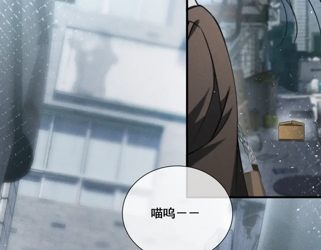 009 叶真的猫咪诱捕计划 第11页