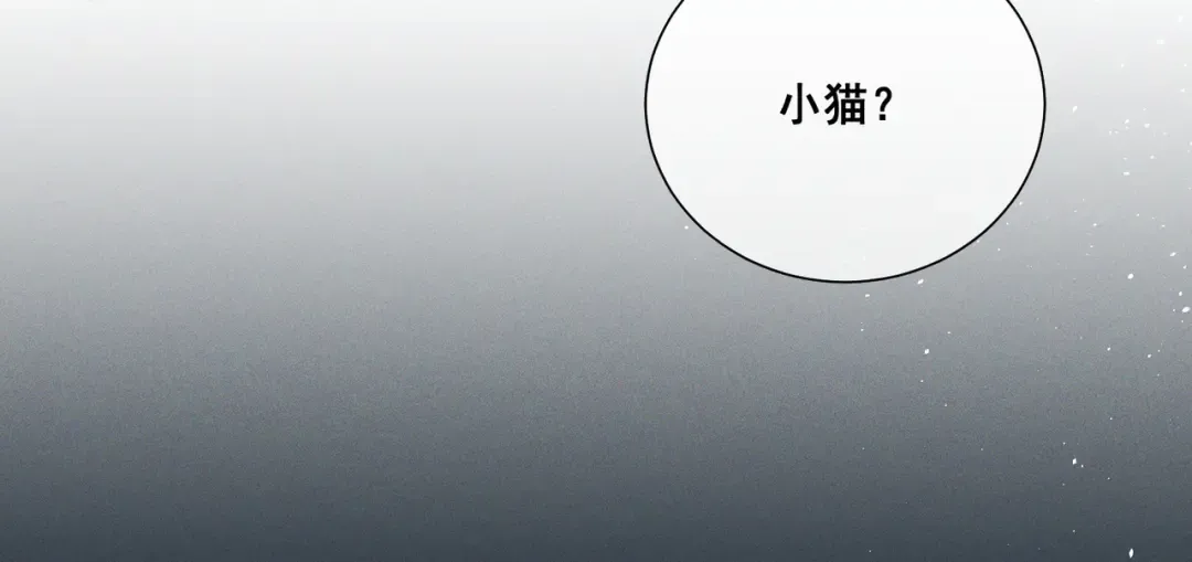 009 叶真的猫咪诱捕计划 第23页