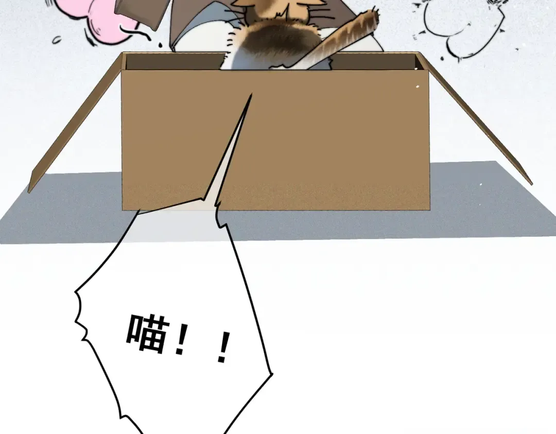 009 叶真的猫咪诱捕计划 第26页