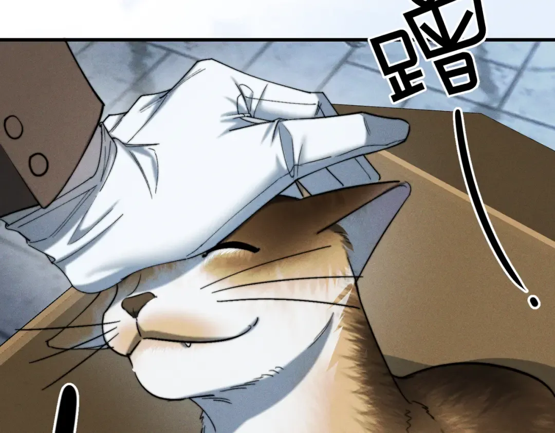 009 叶真的猫咪诱捕计划 第33页