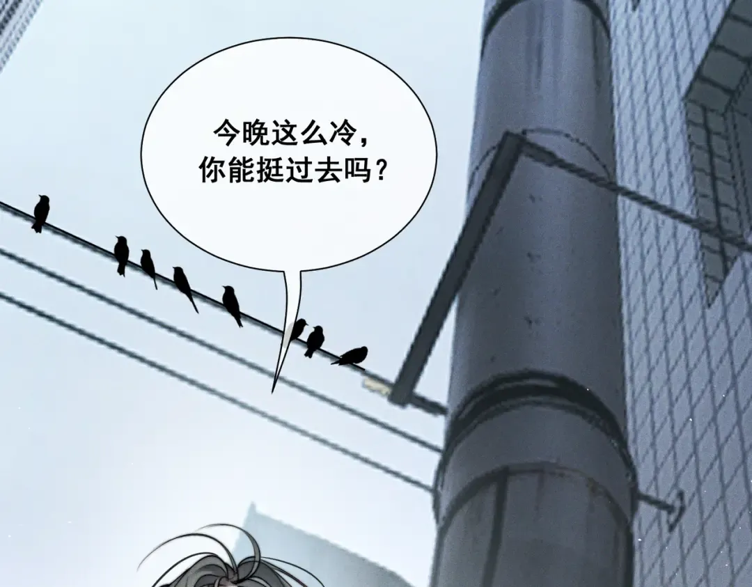 009 叶真的猫咪诱捕计划 第44页