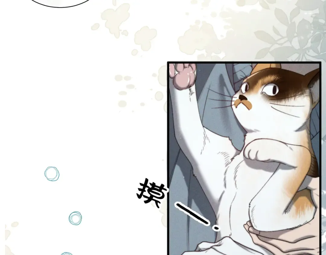 009 叶真的猫咪诱捕计划 第78页