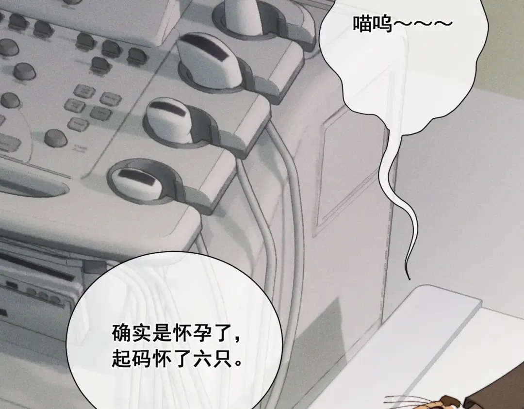 009 叶真的猫咪诱捕计划 第87页