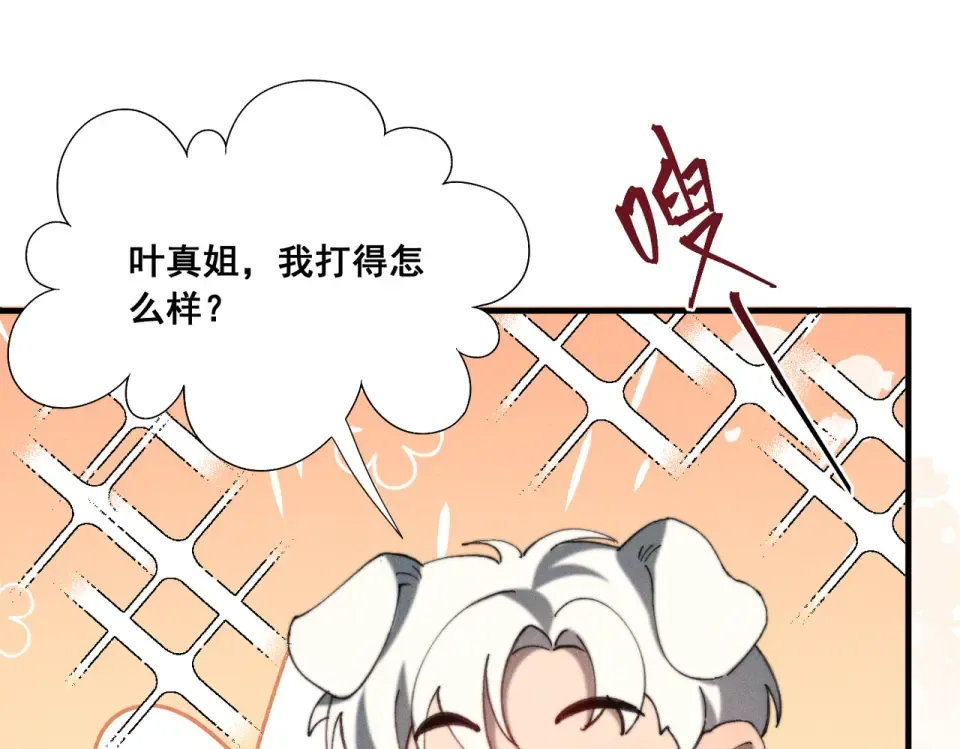 012 谁是最棒的小狗？ 第43页