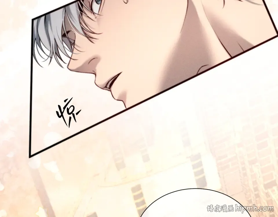 012 谁是最棒的小狗？ 第104页
