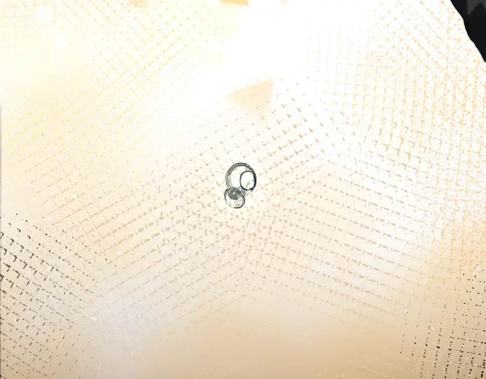 015 抓住手边的快乐 第81页