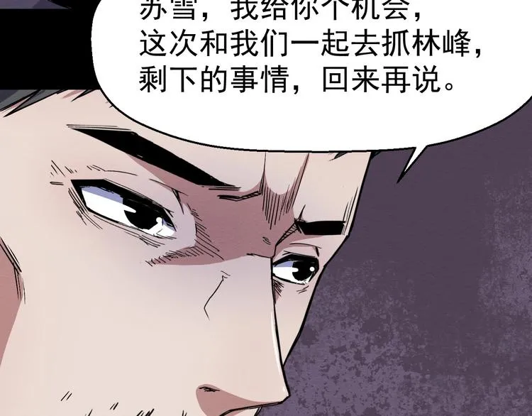 第47话 协助抓捕林峰 第29页