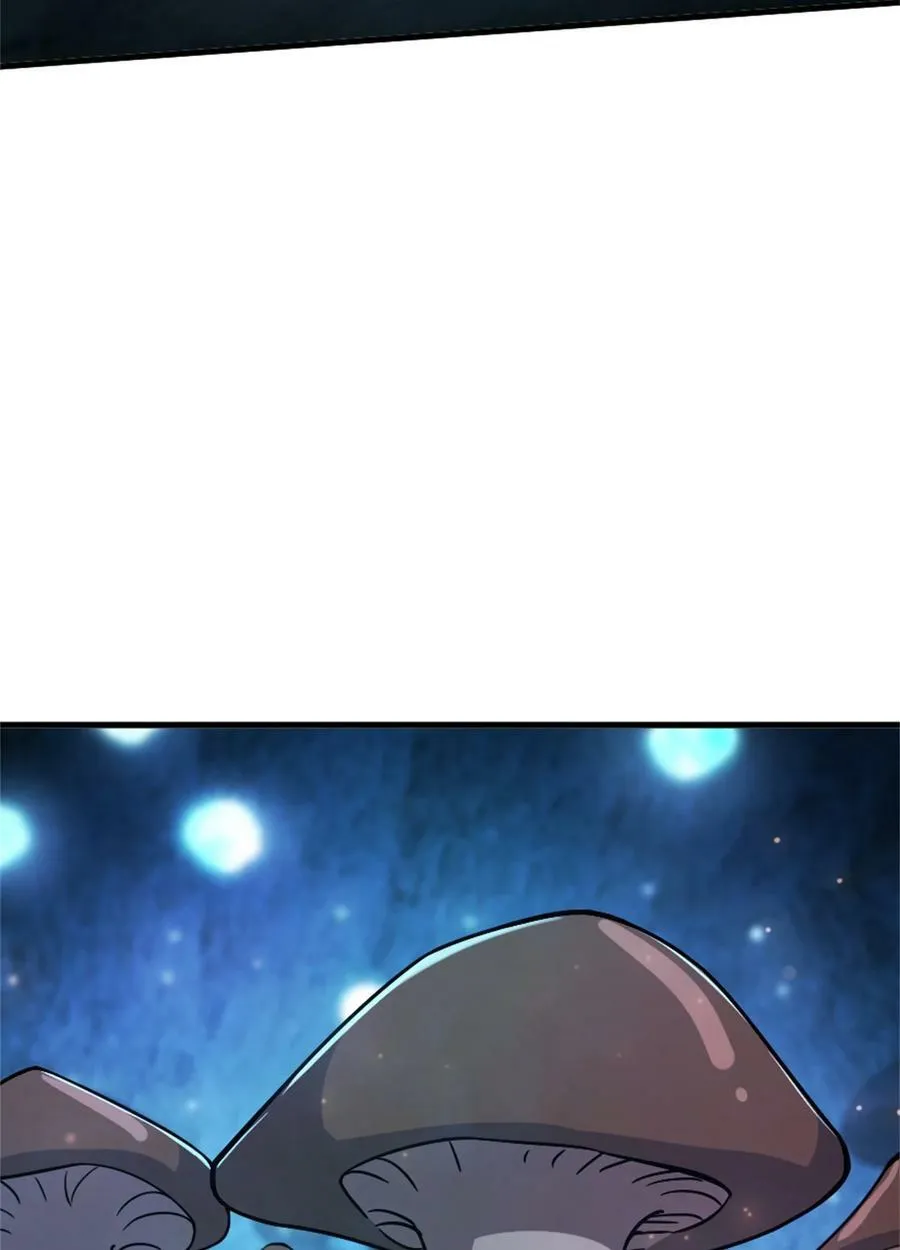 484 新研究新材质 第21页