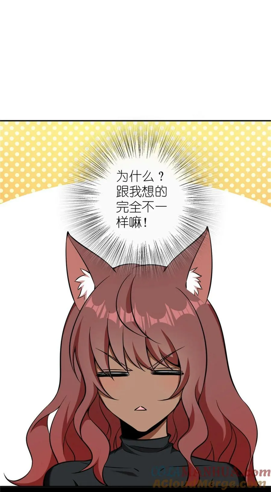 488 完全不一样！ 第3页