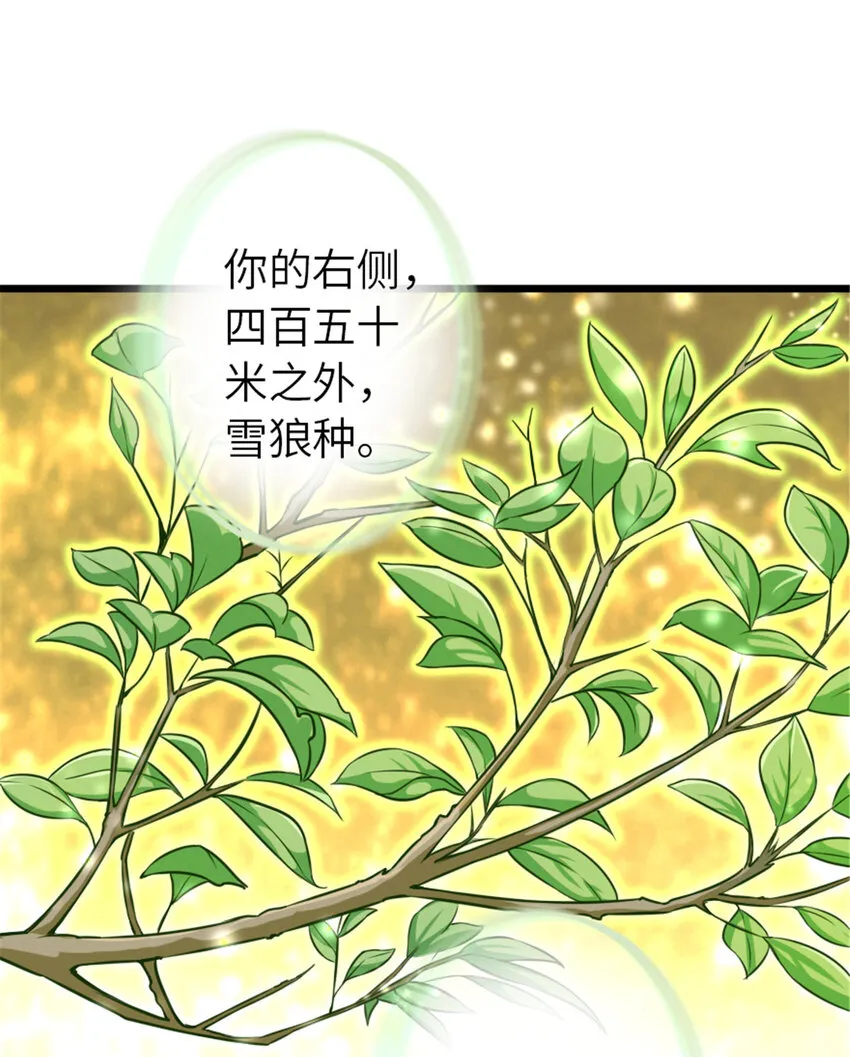 405 狩猎大赛 第50页