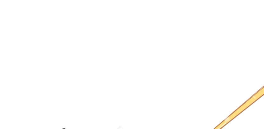 36 混合种 第31页
