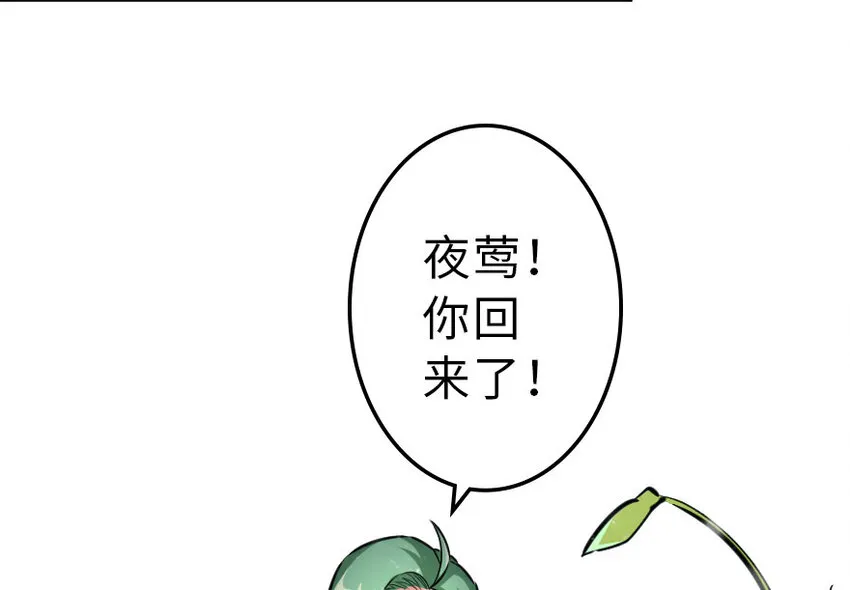 41 营地 第52页