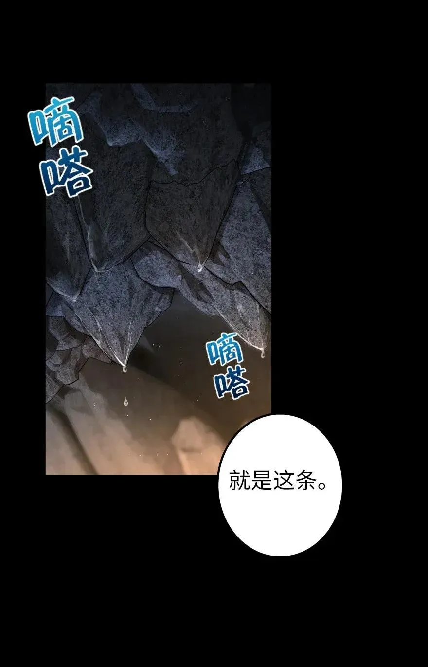 167 北坡矿山 第39页