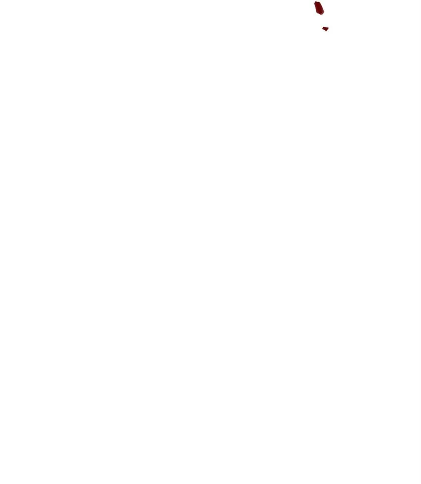 368 真神？ 第49页