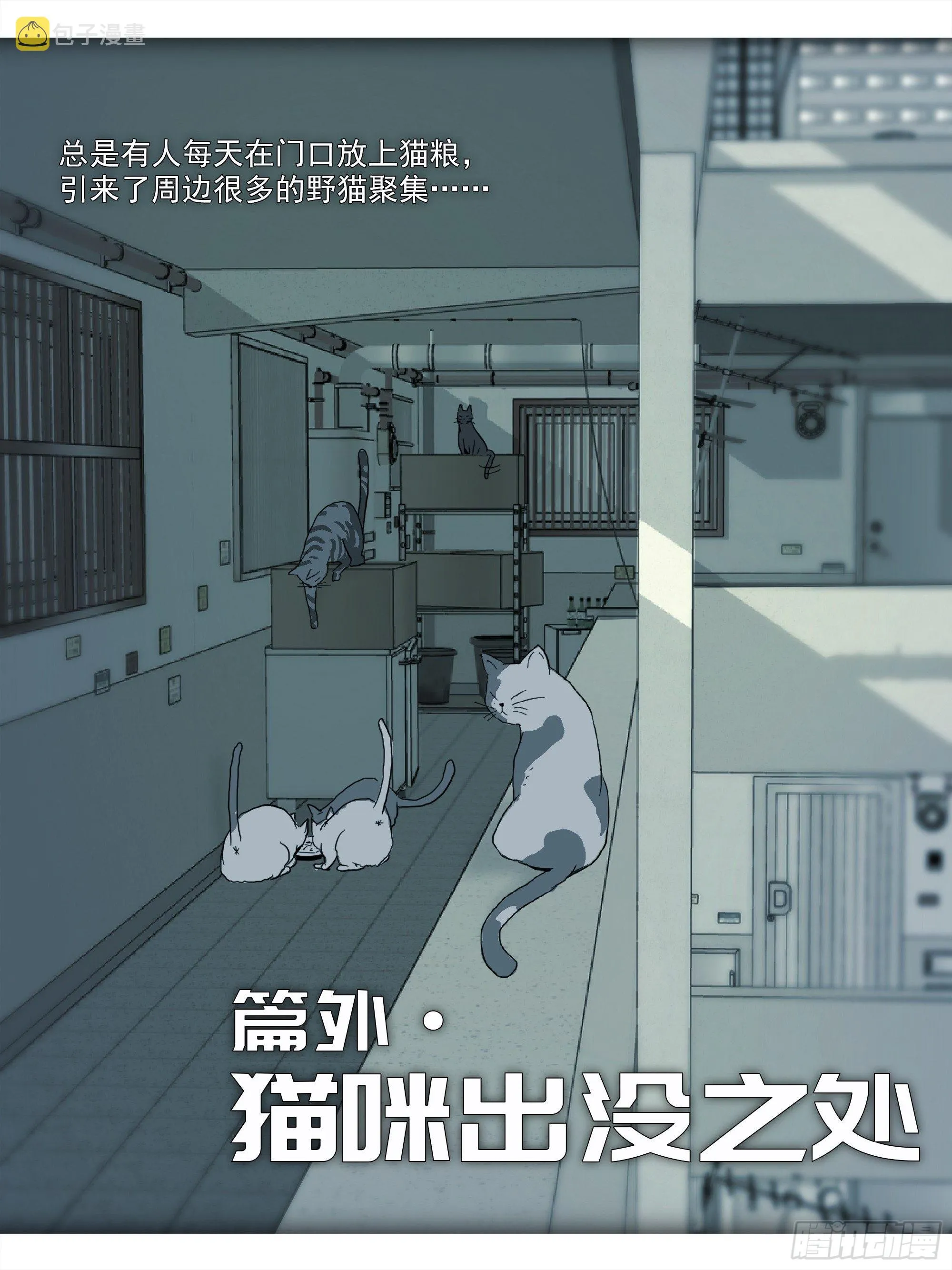 番外篇·猫咪出没之处 第3页