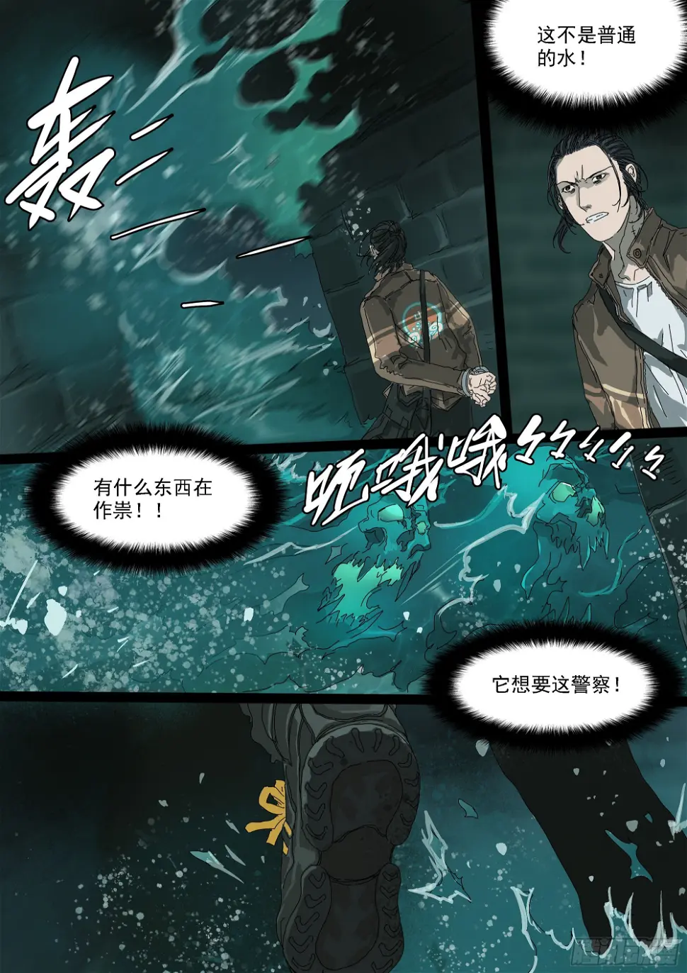 下水道有鸭子很奇怪吗 第13页