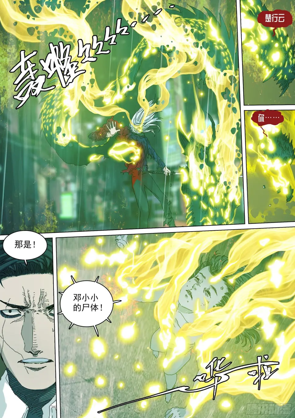叶观雨和楚天君 第13页