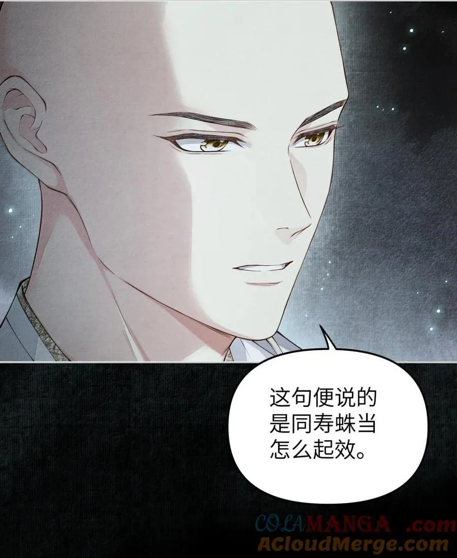 127 毒蛛 第17页