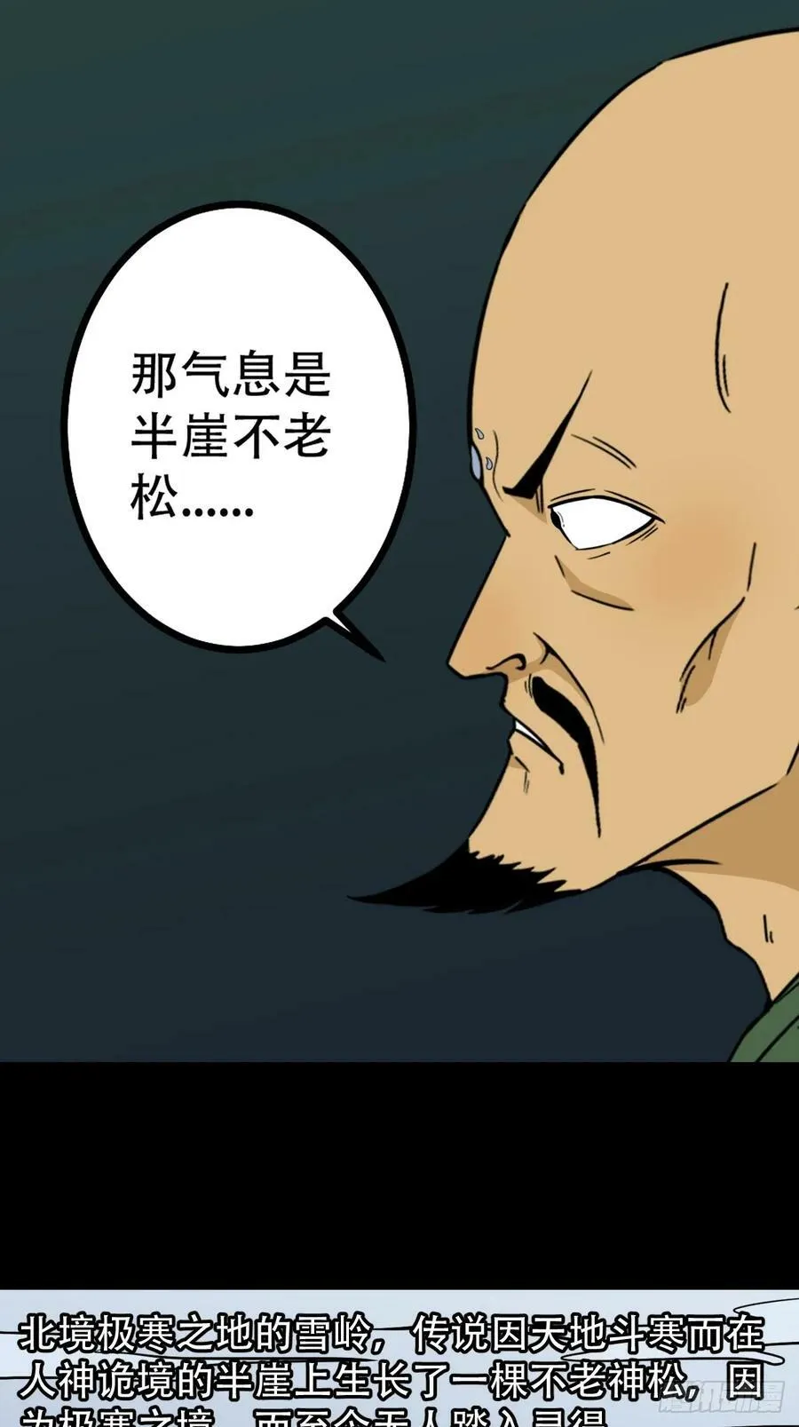 不老松 第5页
