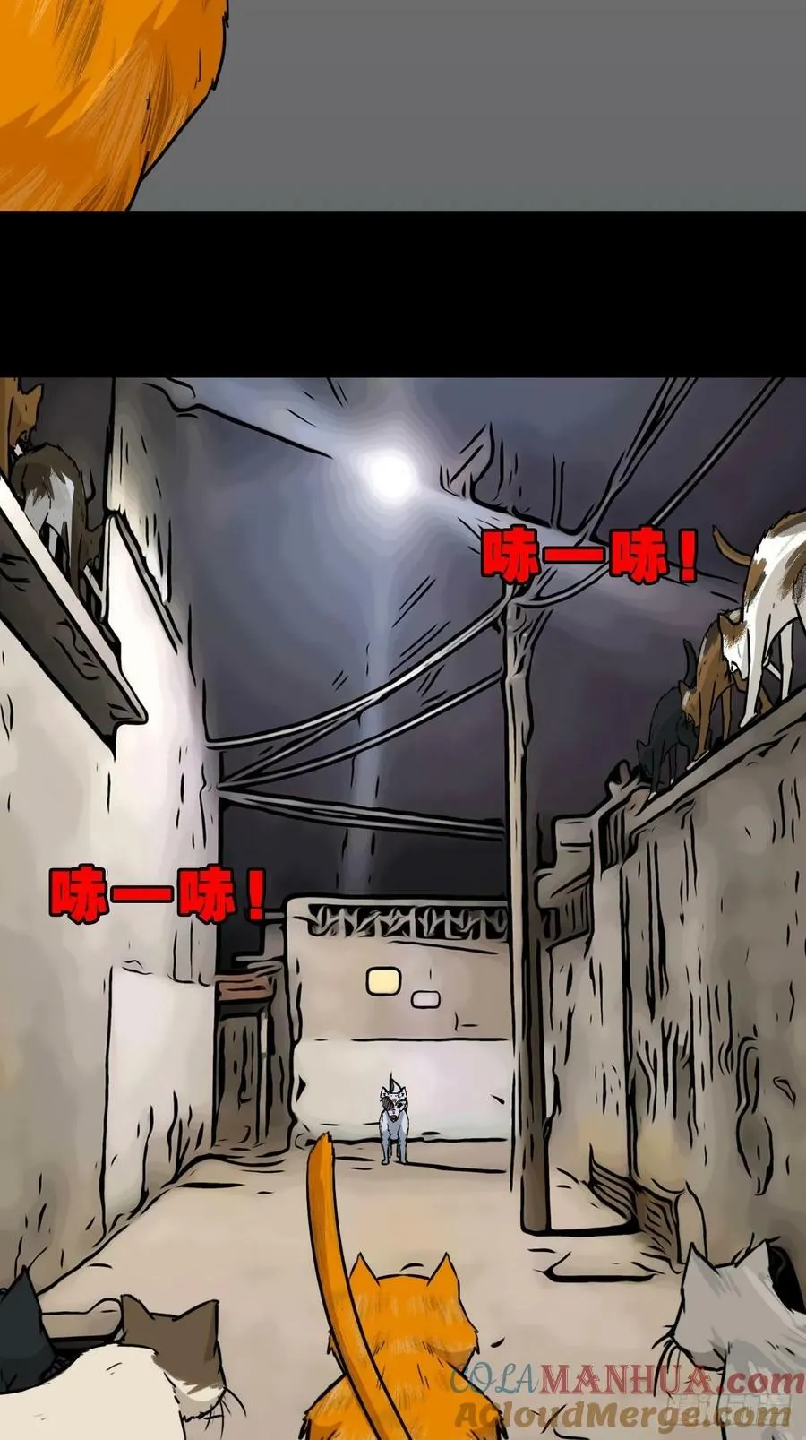 猫狗斗 第25页